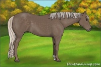 Horse Color:Silver Black 