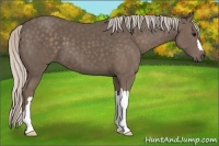 Horse Color:Silver Black 