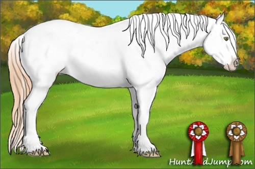 Horse Color: Gold Champagne Near Fewspot 