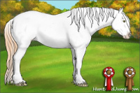 Horse Color:Gold Champagne Near Fewspot 