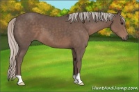 Horse Color:Silver Black 
