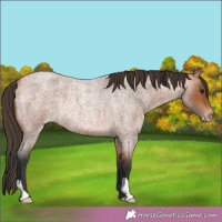 Horse Color:Bay Roan Varnish Rabicano 