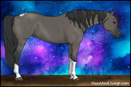 Horse Color: Grullo Tobiano 