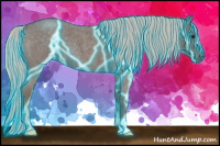 Horse Color:Thunderstruck Silver Blue Roan 