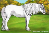Horse Color:Watercolor Cremello Ice Splash Tobiano 
