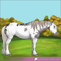 Horse Color:Liver Chestnut Splash Frame Blanket 