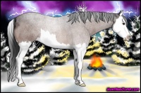 Horse Color:Bay Splash 