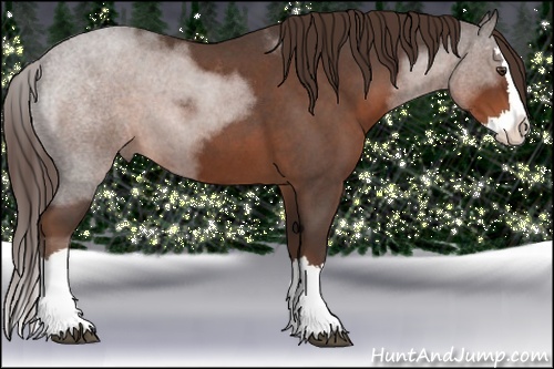 Horse Color: Liver Red Roan Sabino Splash 