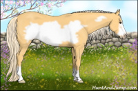 Horse Color:Palomino Frame 