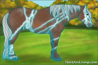 Horse Color:Thunderstruck Silver Bay Roan 