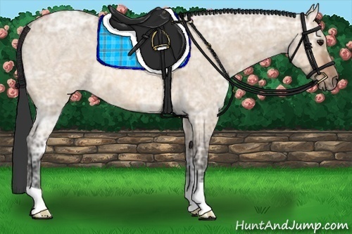 Horse Color: Bay Ice Roan Dun 