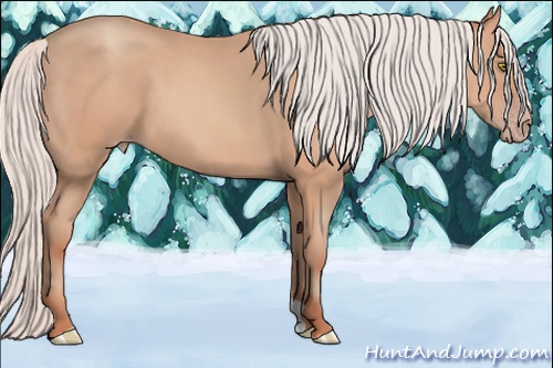 Horse Color: Silver Amber Champagne 