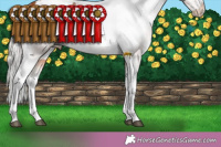 Horse Color:Silver Bay Tobiano Frame Varnish 