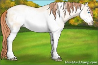 Horse Color:White Spotted Amber Cream Champagne Pearl Dun Frame