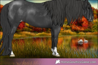 Horse Color:Black Varnish 