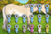 Horse Color:Silver Buckskin Dun Sabino Frame 