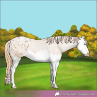 Horse Color:Bay Pearl Splash Varnish 