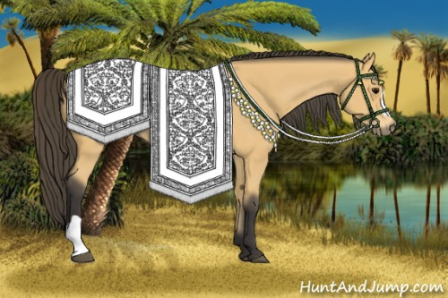Horse Color: Buckskin 