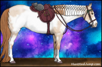 Horse Color:White Spotted Liver Red Dun Roan Pearl Frame 