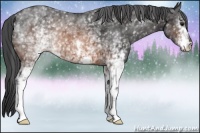 Horse Color:White Spotted Brown 