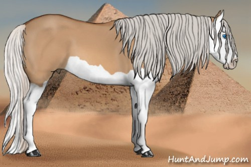 Horse Color: Silver Bay Dun Splash 