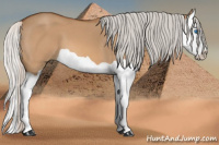 Horse Color:Silver Bay Dun Splash 