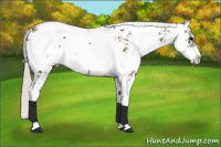 Horse Color:Silver Black Sabino 