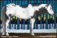 Horse Color:Black Sabino Splash Frame Appaloosa 