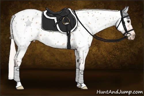 Horse Color:Silver Brown Dun Near Leopard 