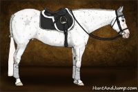 Horse Color:Silver Brown Dun Near Leopard 
