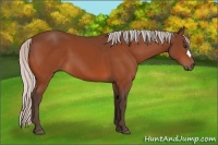 Horse Color:Silver Brown 