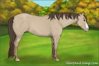 Horse Color:Classic Champagne Dun Splash 