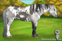 Horse Color:White Spotted Smoky Grullo 
