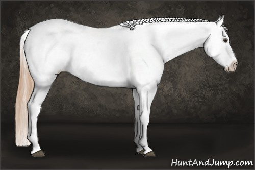 Horse Color: Liver Chestnut Tobiano Frame Snowcap 