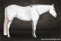 Horse Color:Liver Chestnut Tobiano Frame Snowcap