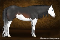 Horse Color:Brown Splash 