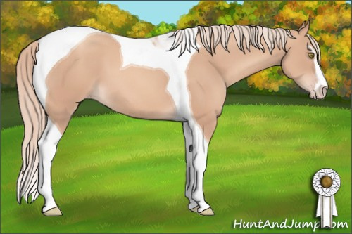Horse Color: Gold Champagne Sabino Tobiano 