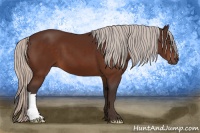 Horse Color:Silver Brown 