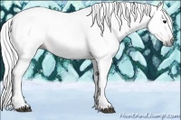 Horse Color:Gray Bay Tobiano 