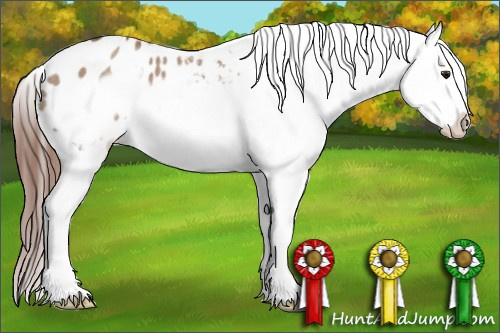 Horse Color: Bay Roan Dun Splash Frame Blanket 
