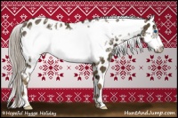 Horse Color:White Spotted Chocolate Palomino Frame Appaloosa