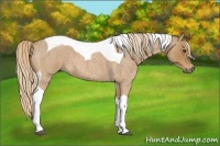 Horse Color:Red Roan Tobiano 