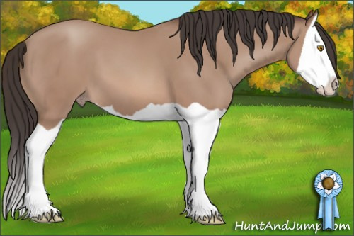 Horse Color: Sable Champagne Splash 
