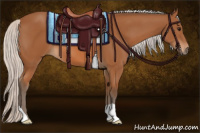 Horse Color:Silver Bay 