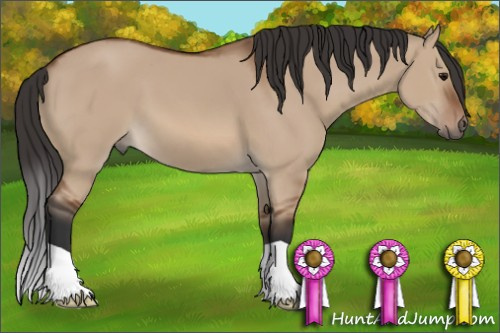 Horse Color: Bay Dun 