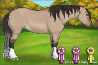 Horse Color:Bay Dun