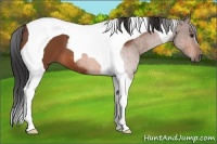 Horse Color:Bay Tobiano 