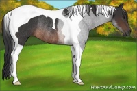Horse Color:Brown Tobiano Rabicano