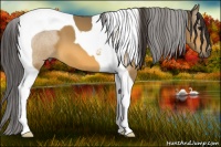 Horse Color:Buckskin Tobiano 