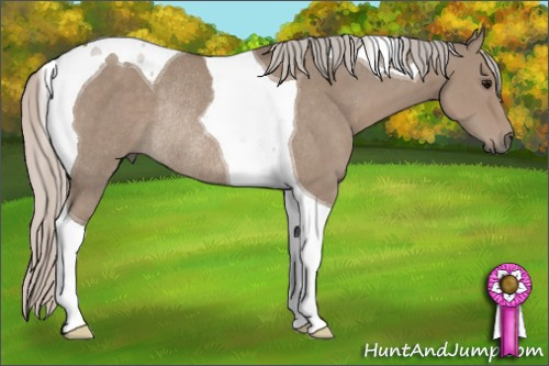 Horse Color: Silver Grullo Tobiano Rabicano 